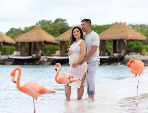 Beautiful Maternity Session at the Flamingo Island Aruba