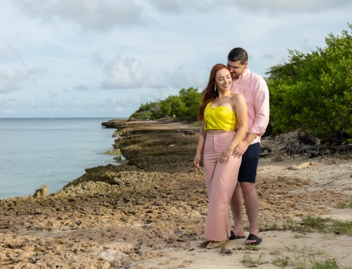 Morning Love Under the Divi Tree